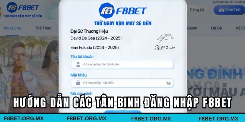 Hướng dẫn các tân binh cách đăng nhập F8BET