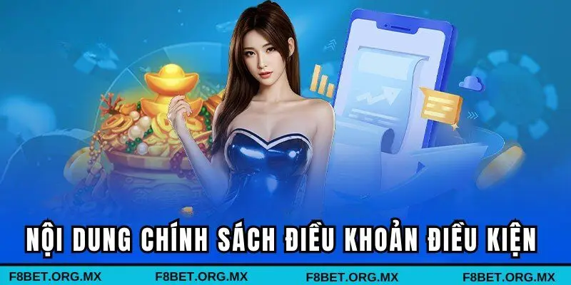 Nội dung chính sách điều khoản điều kiện